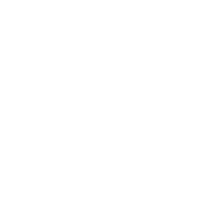 LAVIECO